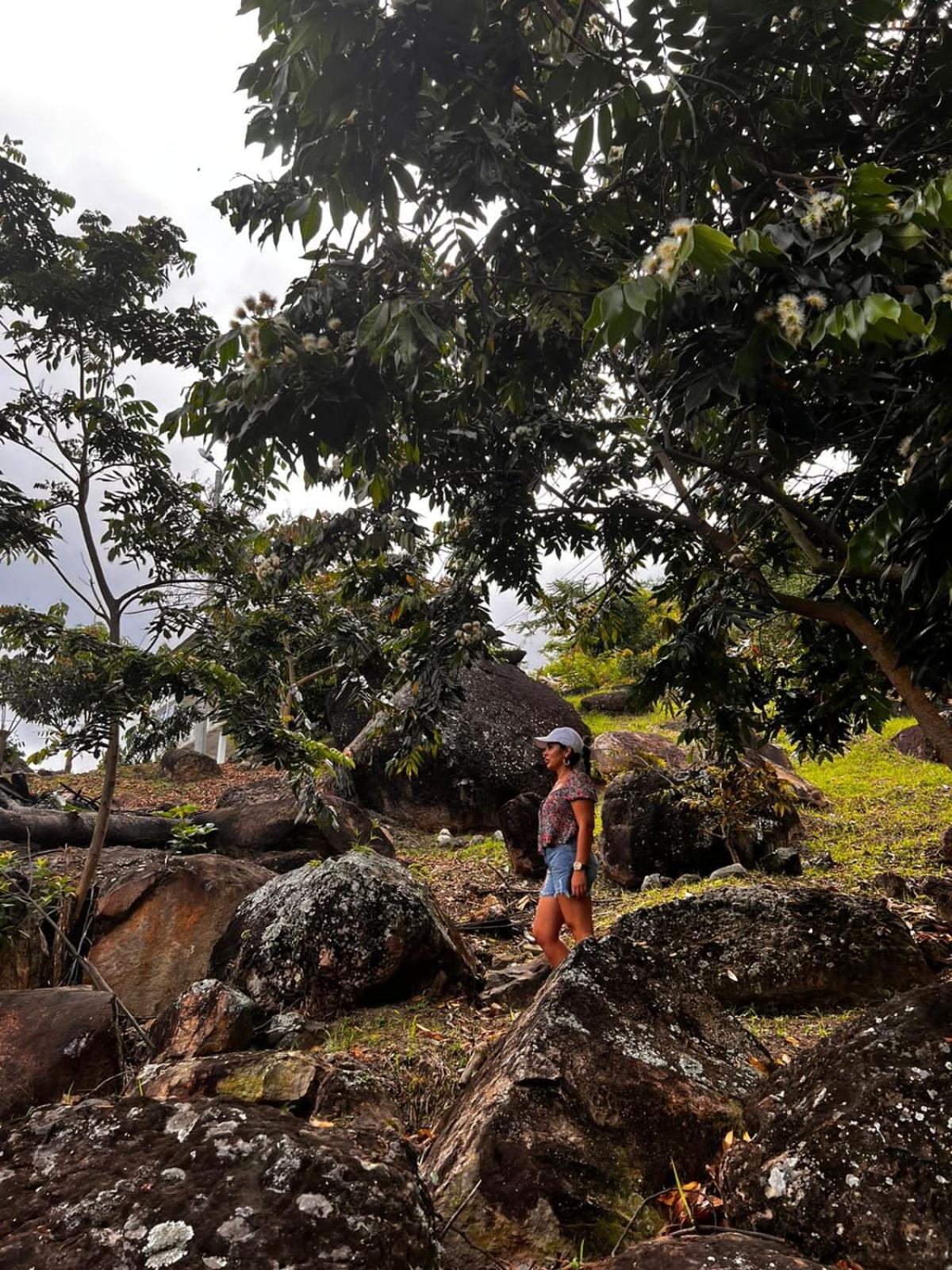 Finca Don Matias Melgar Eksteriør billede